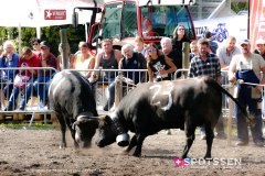 bagnes_combatsreines_170923_-28