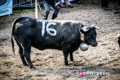bagnes_combatsreines_170923_-34