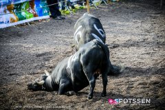 bagnes_combatsreines_170923_-37