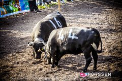 bagnes_combatsreines_170923_-39