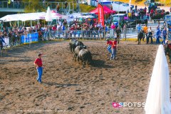 bagnes_combatsreines_170923_-47