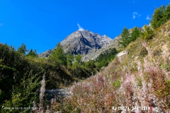 prayonlafouly_170923_-(13)