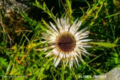 prayonlafouly_170923_-(32)