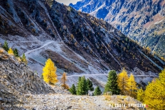 valarpette_171015_-(11)