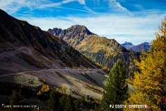 valarpette_171015_-(12)