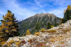 valarpette_171015_-(18)