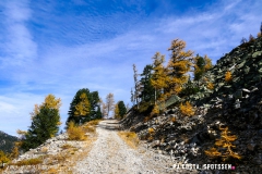 valarpette_171015_-(19)