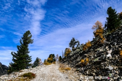 valarpette_171015_-(23)