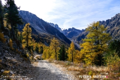 valarpette_171015_-(24)