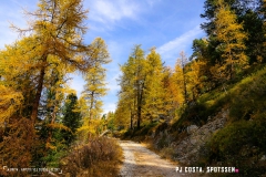 valarpette_171015_-(25)