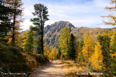 valarpette_171015_-(26)