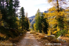 valarpette_171015_-(27)