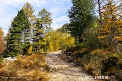 valarpette_171015_-(28)