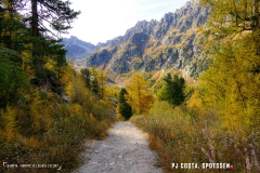 valarpette_171015_-(33)