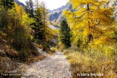 valarpette_171015_-(34)