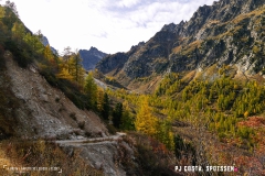 valarpette_171015_-(37)