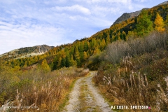 valarpette_171015_-(39)