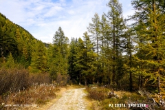 valarpette_171015_-(41)