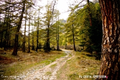 valarpette_171015_-(42)