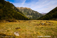 valarpette_171015_-(44)