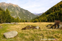 valarpette_171015_-(46)
