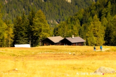 valarpette_171015_-(48)