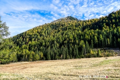 valarpette_171015_-(49)