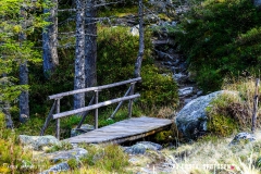 valarpette_171015_-(53)