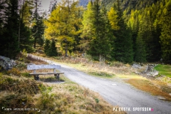 valarpette_171015_-(54)