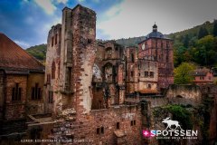heidelberg_171030__-15
