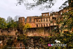 heidelberg_171030__-19