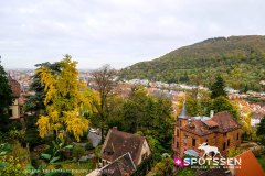 heidelberg_171030__-4