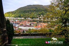heidelberg_171030__-43