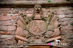heidelberg_171030__-44