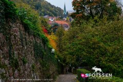 heidelberg_171030__-45