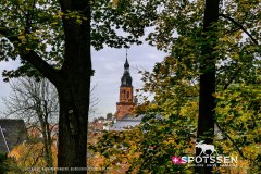 heidelberg_171030__-49