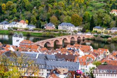 heidelberg_171030__-5