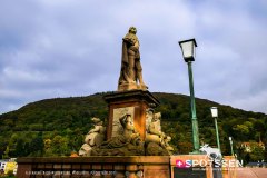heidelberg_171030__-56