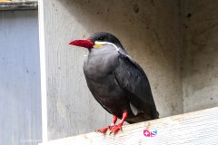 heidelberg_171030__-63