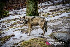 stockholm_180408__-163