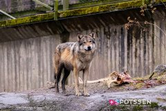 stockholm_180408__-165