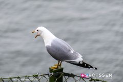 stockholm_180408__-85