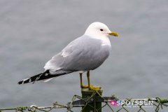 stockholm_180408__-88