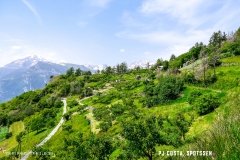 iserables_180526_-(83)