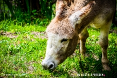 iserables_180526_-(89)