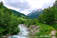 binn_180617_-(104)