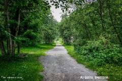 binn_180617_-(105)
