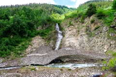 binn_180617_-(109)