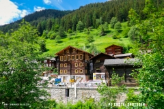 binn_180617_-(114)