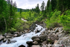 binn_180617_-(83)